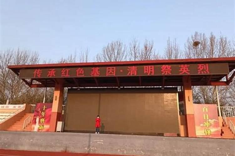 猪猴属相合不合