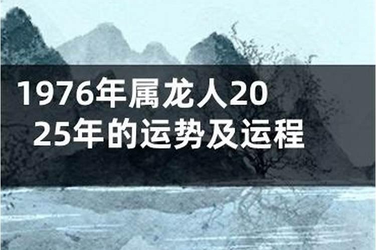 梦见被白猫咬是什么意思？