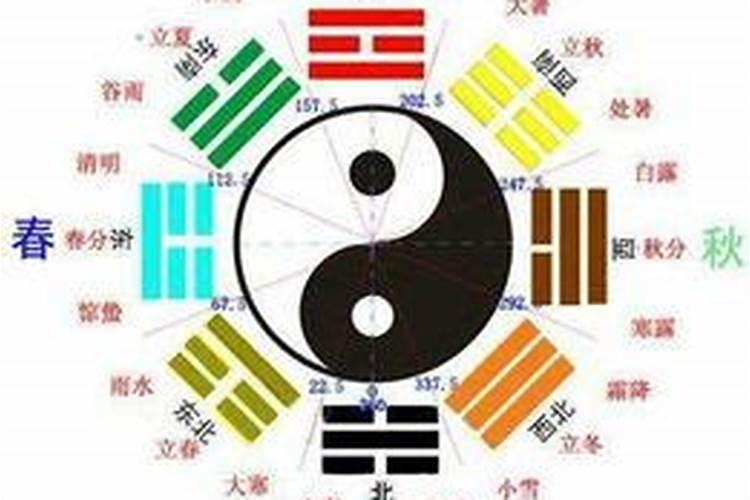 1996属鼠女生的命运