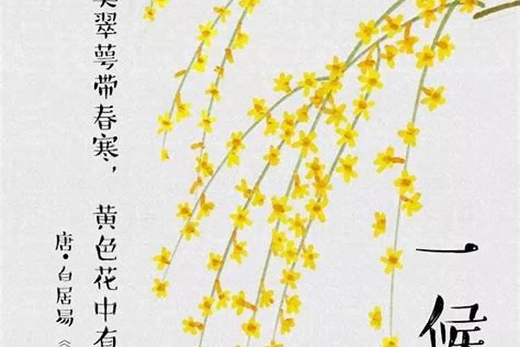 梦见有人从家里出来的预兆
