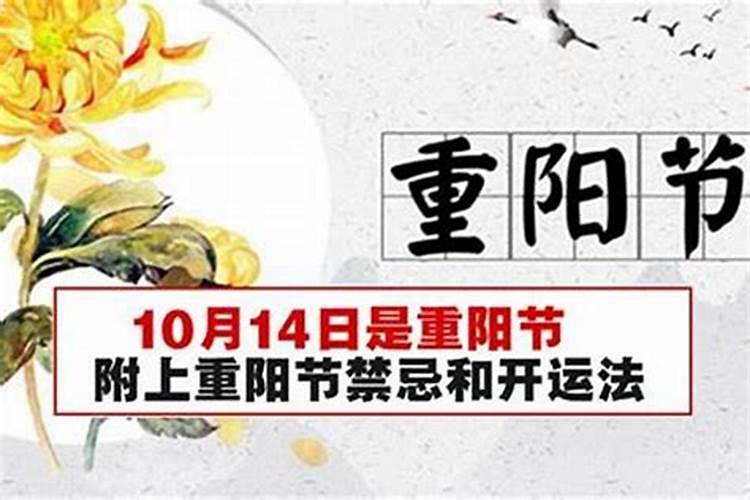 求古风文笔好的小说