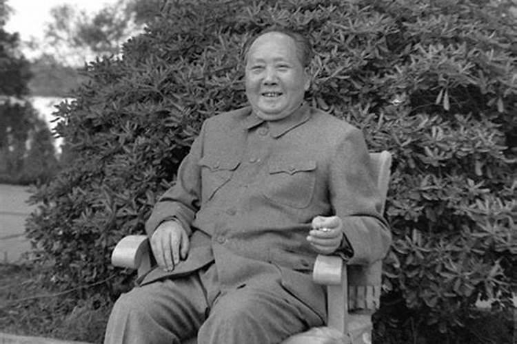 59年属猪的运势,59年属猪的是什么命