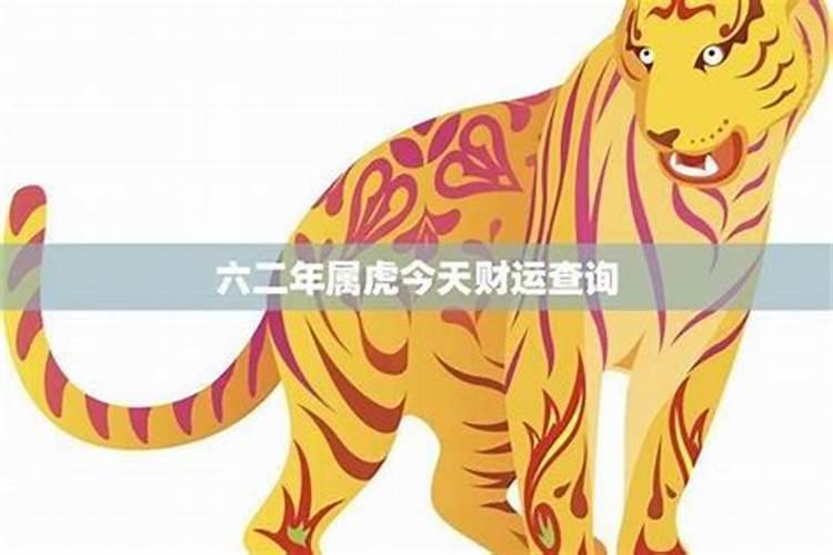 1962年的虎的命运