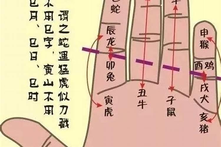 算命先生“掐指一算”的原理是什么？视频给大家详细讲解