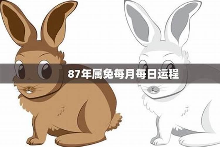 农历3月15日是什么星座