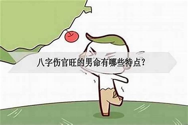 伤官主事是什么意思,伤官之人的表现