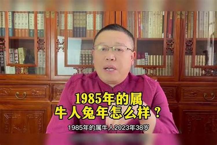 1985属牛人的命运,1985年属牛一生命运