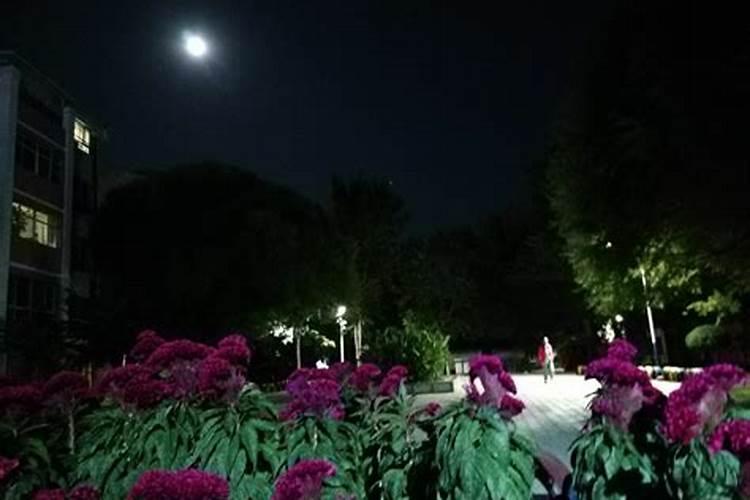 ...北京中秋去哪旅游好 北京八月十五赏月祈福好去处
