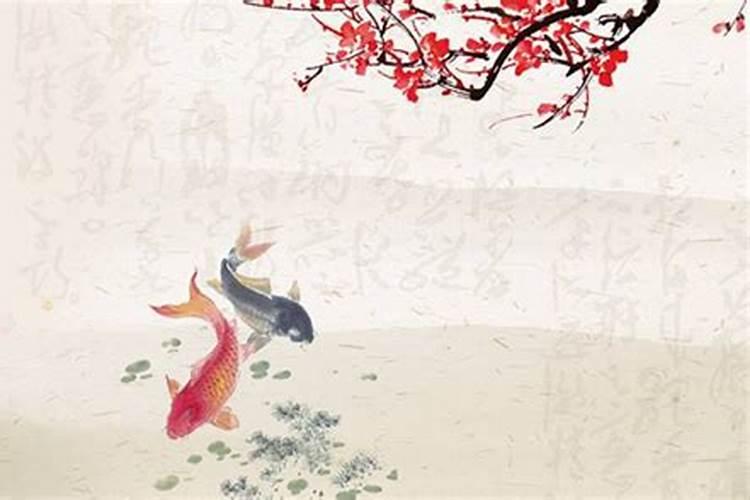 孕妇梦见鱼预示着什么