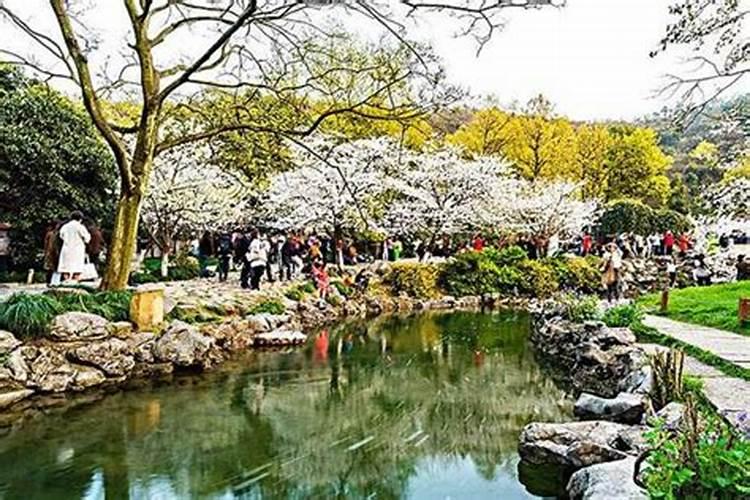 清明节浙江有哪些好玩的地方？2022浙江清明三天最佳踏青去处