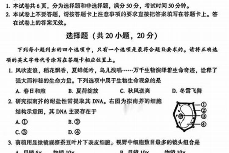 领结婚证日子2025年吉日