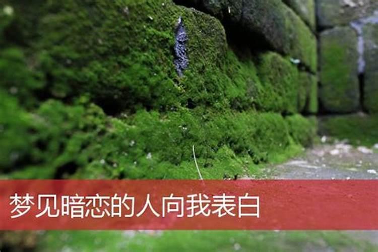 梦到上公厕特别脏