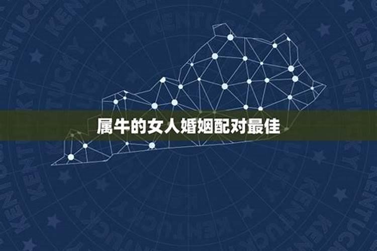 属牛女这辈子和谁在一起幸福
