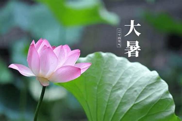 大暑节气由来习俗