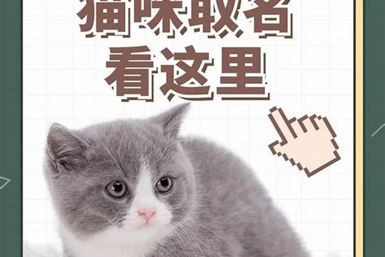 正月十五出生的男孩取名