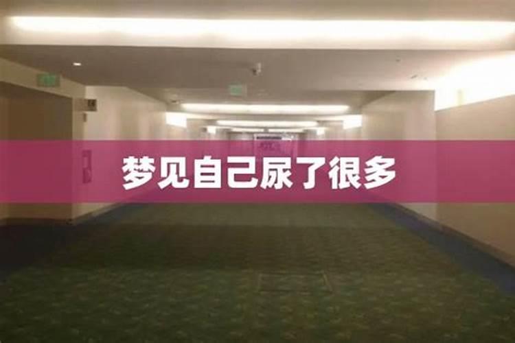 梦到上厕所是什么意思