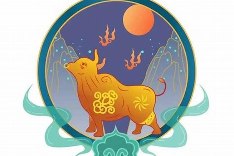 梦见老公开着破车拉着我的预兆