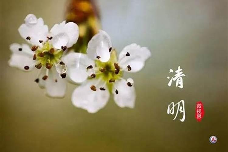 清明节的前一天是几月几日？