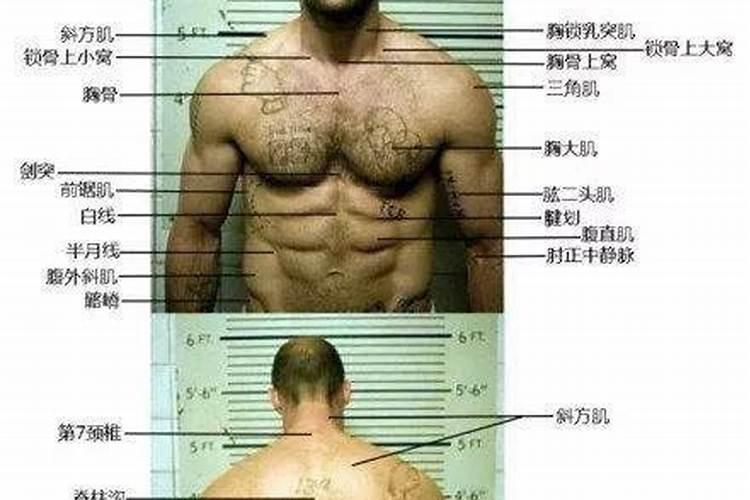梦见去世的亲人还活着是什么意思