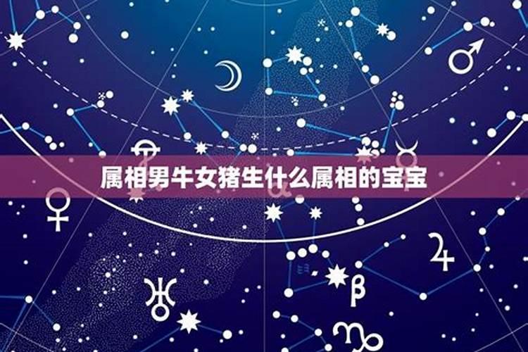生肖猪男和生肖牛女是否婚配 生啥宝宝好