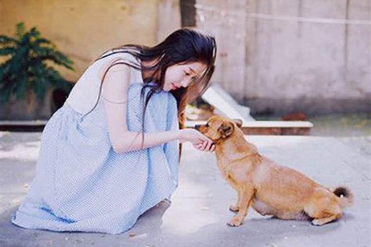 梦到狗狗是什么意思？