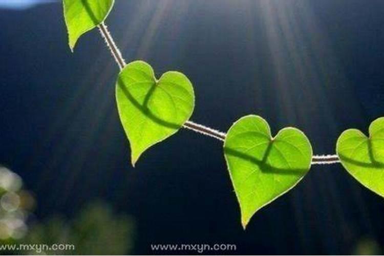 梦见去世十年的妈妈哭着让我送她回家