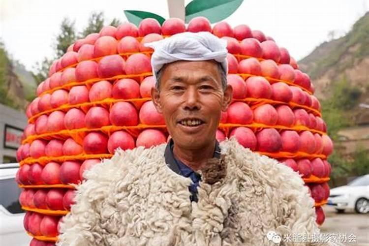中国古代四大美女到底是怎样死的？