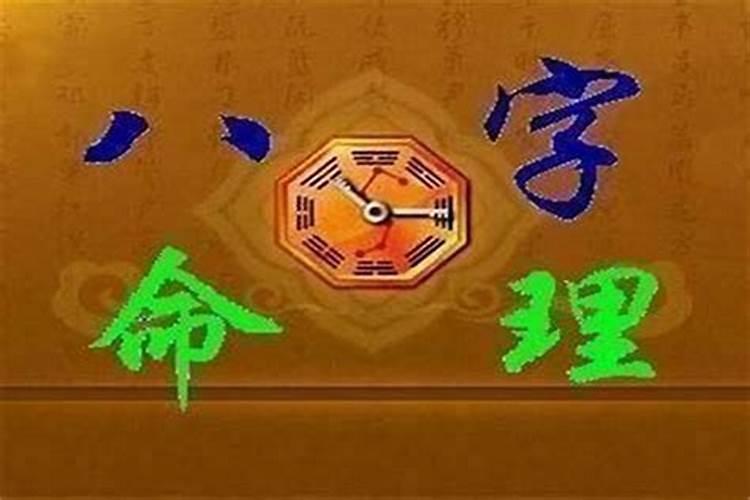 甲木命的人事业运势如何,甲木命的人有什么特点