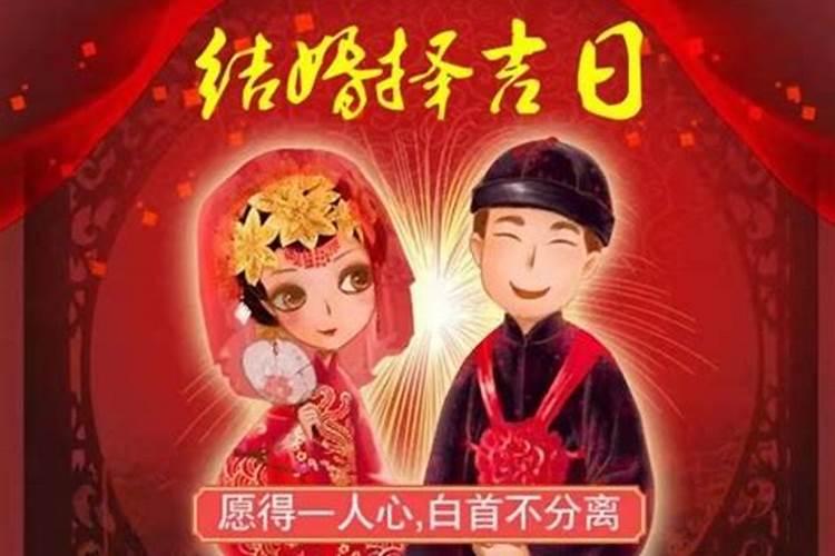 招桃花最厉害的植物是什么？