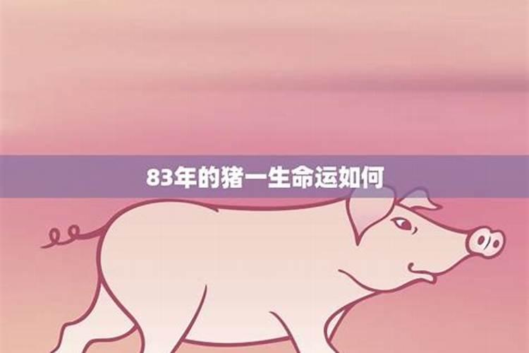 两个属蛇的结婚好吗