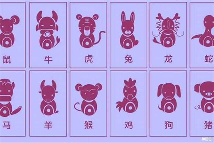 96年属鼠女下半年运势