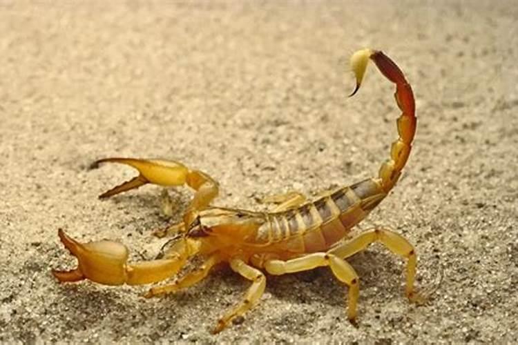 风水大师分析:人的运气和财气怎样才能好起来