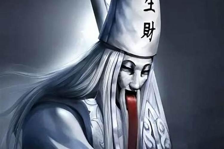 属猪腊月出生命运如何