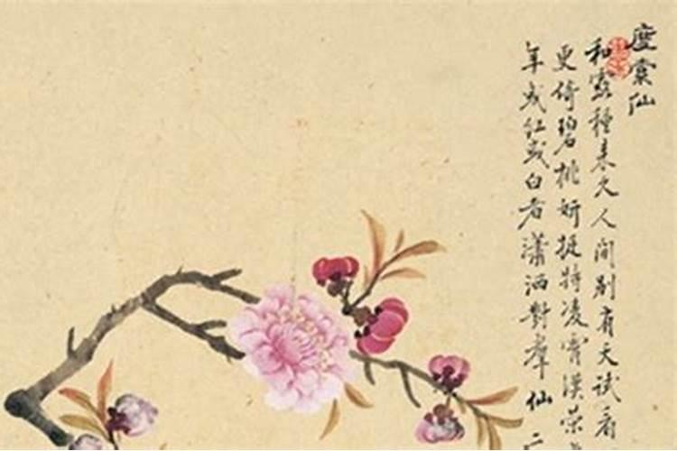 2022年高考家里为什么摆文竹 高考家里摆文竹有什么好处