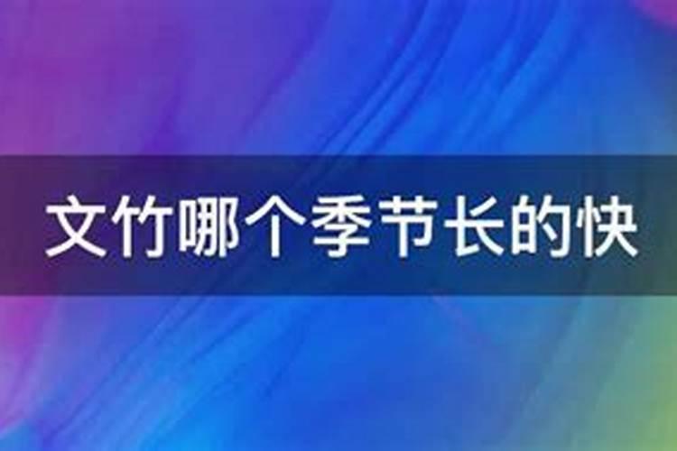 2022年高考家里为什么摆文竹 高考家里摆文竹有什么好处