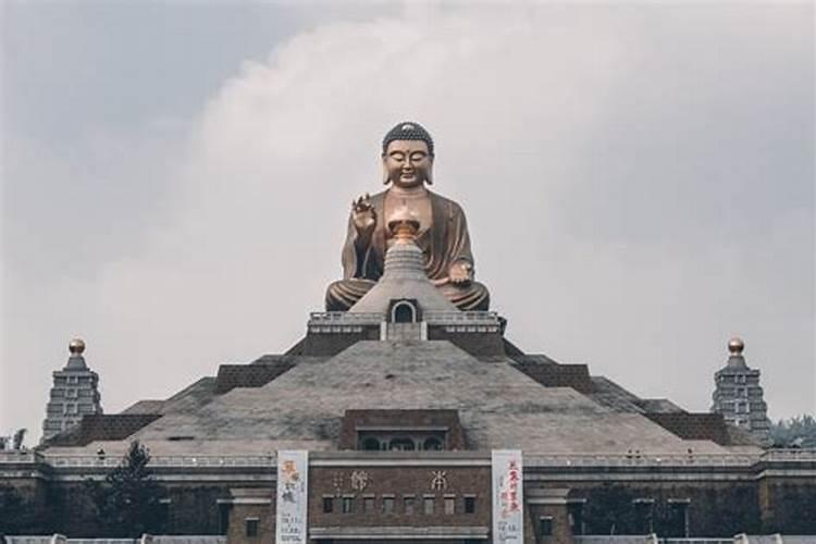生肖属蛇人婚姻财运事业性格算命大全篇