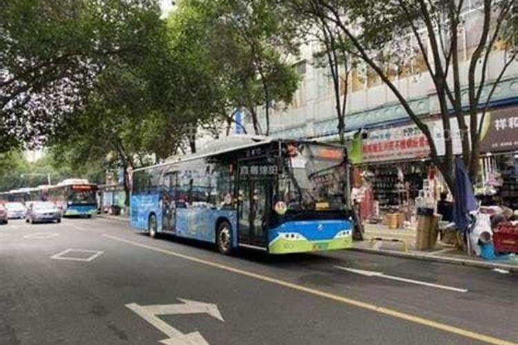 梦见浅水抓鱼有好多鱼抓了好多什么意思
