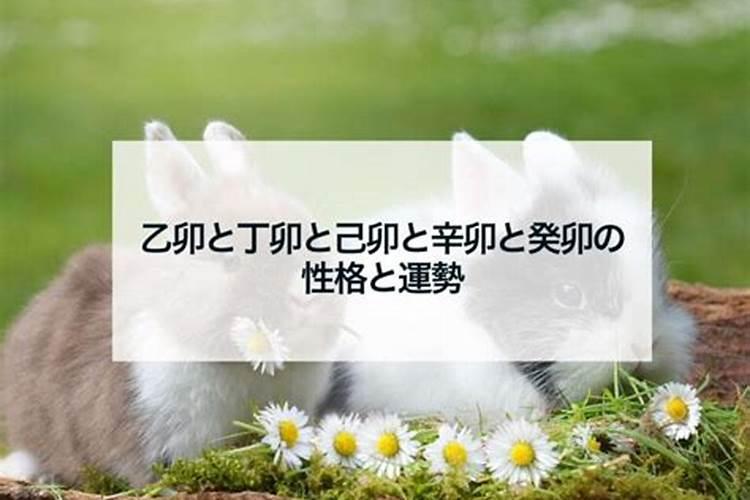 辛卯日柱婚姻真的很惨 辛卯日柱最佳姻缘？
