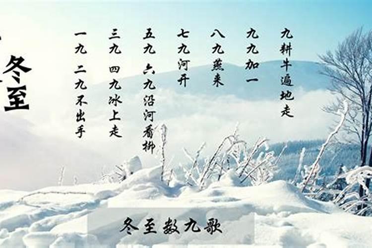 08年属老鼠的今年好不好腊月二十八出生女？