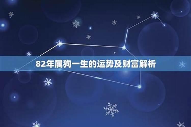 1982属狗女一生命运如何