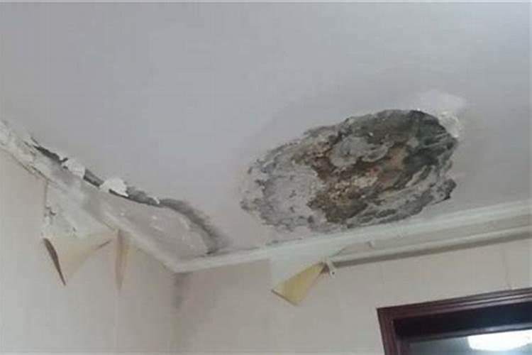 梦见下雨老房子漏水的预兆