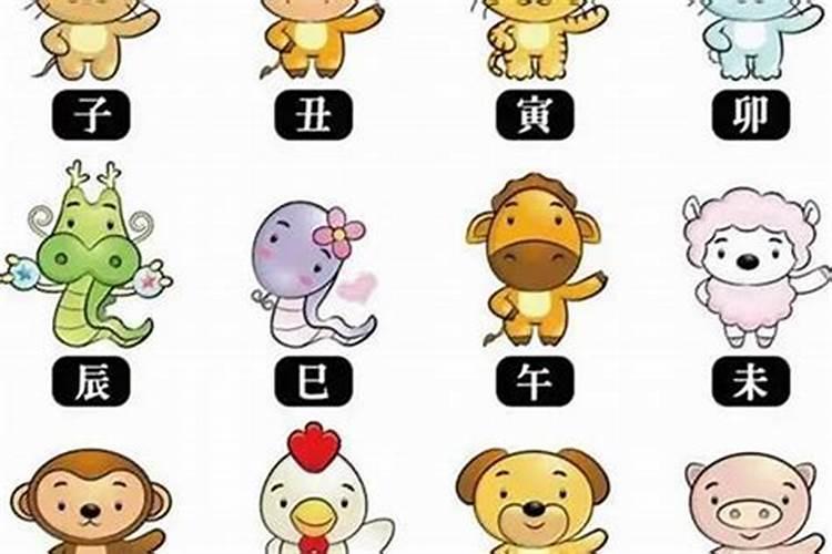 查两个人生辰八字合不合 怎么看两个人是否合适