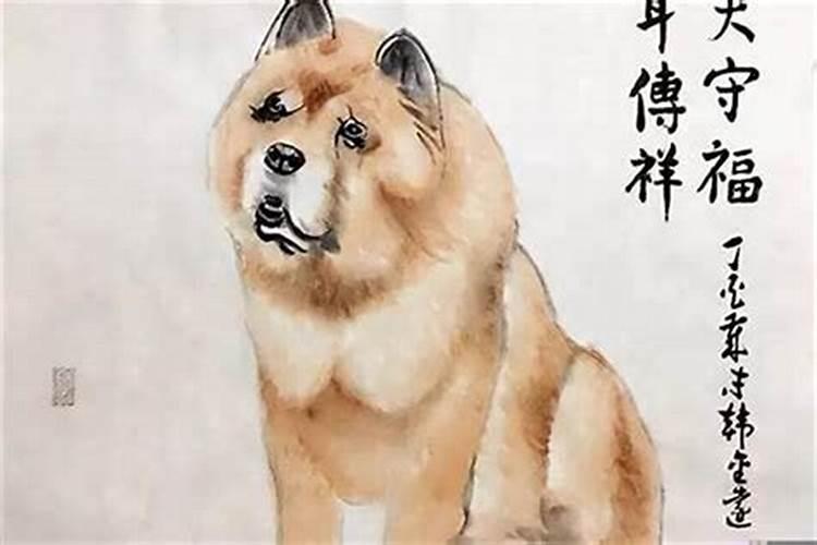 去墓地看见喜鹊叫好吗？