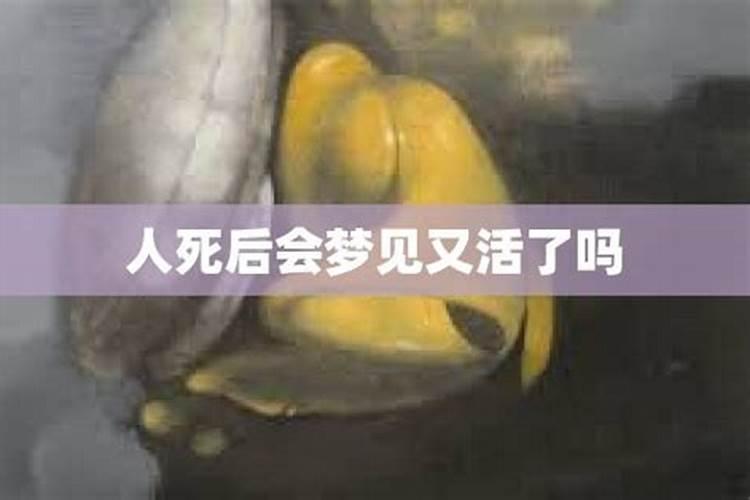 梦到死去的人又活过来了