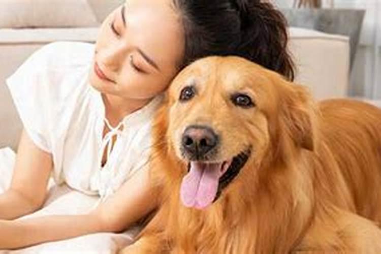 梦见狗把自己咬出血了的预兆