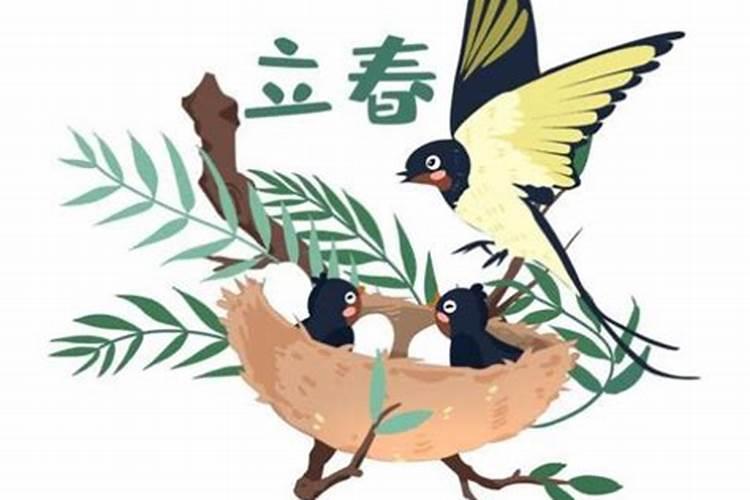 一九八五年节气