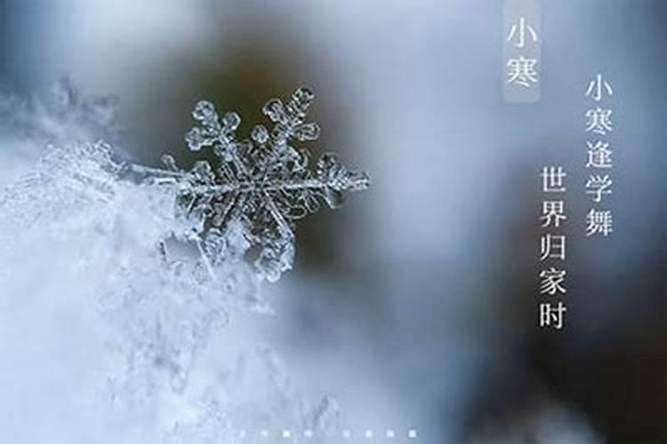 元旦五行属什么 2023年元旦出生的五行属性