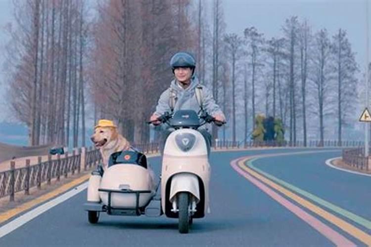 梦见骑电动车拉东西
