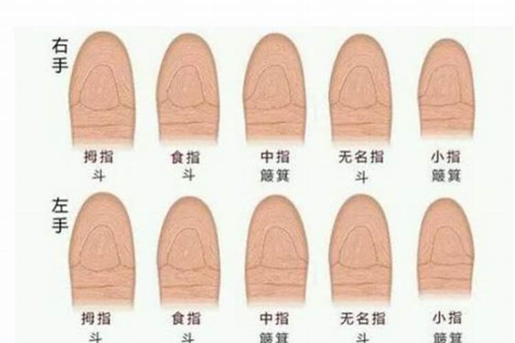 手相一个罗也没有好不好？