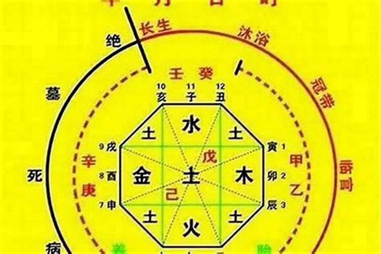 什么叫做泰山童子